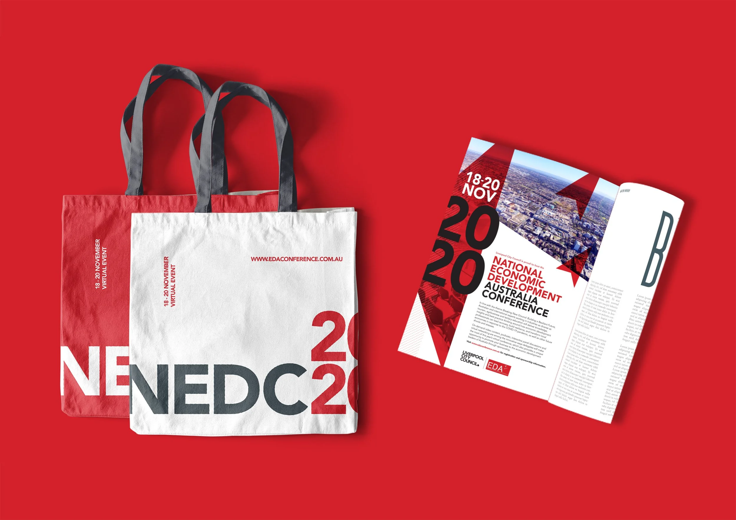 NEDC-Tote+Mag-1000x707.jpg