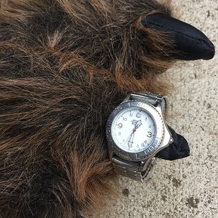 watch smaller.jpg