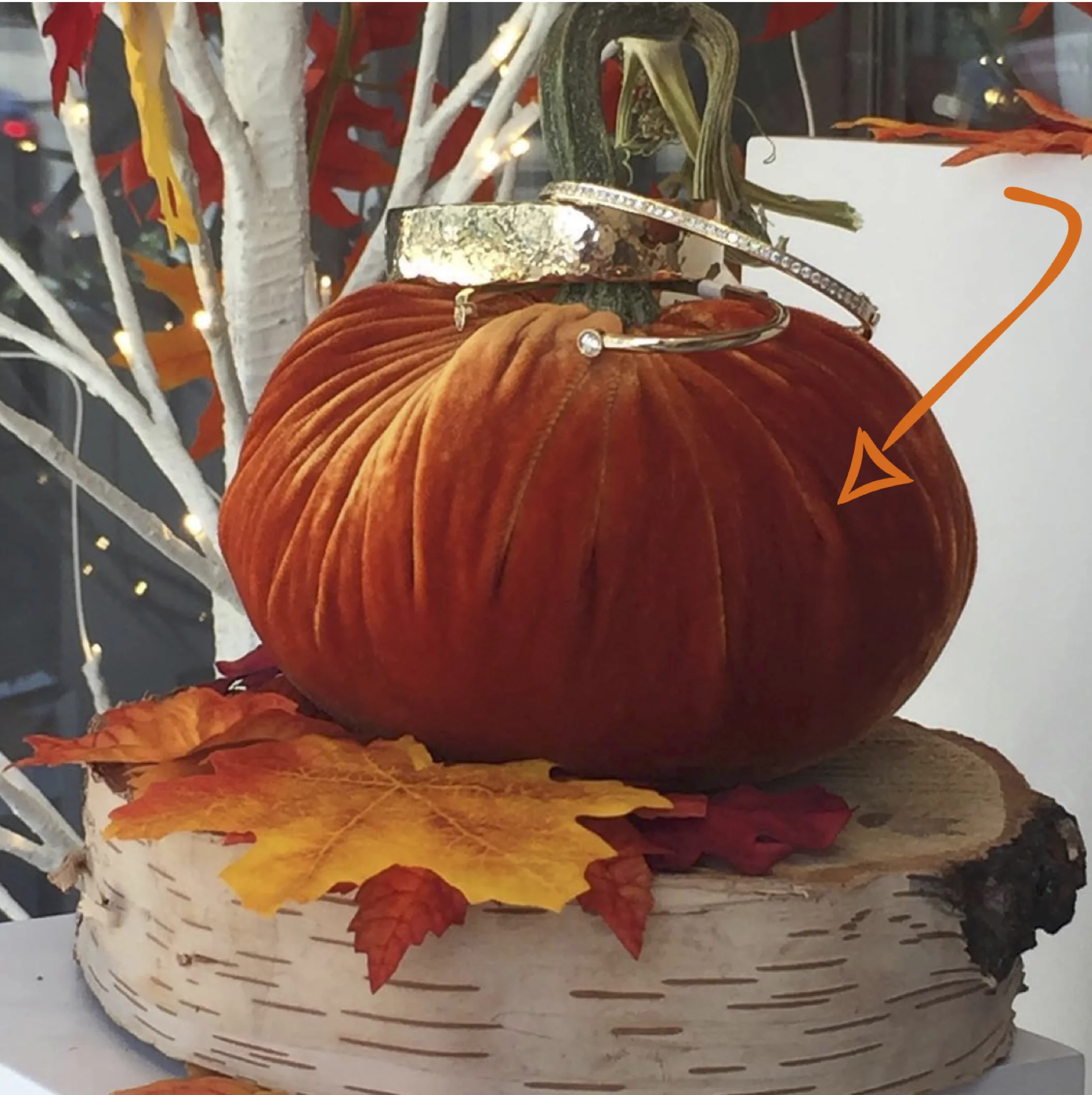 Pumpkin by Hot Skwash (isn’t that the best name?!)