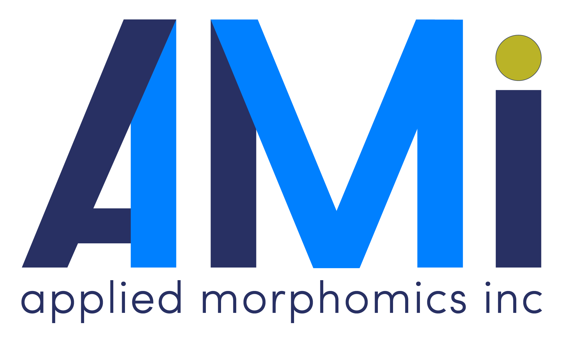 Applied Morphomics