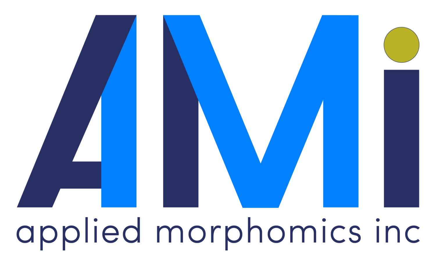 Applied Morphomics