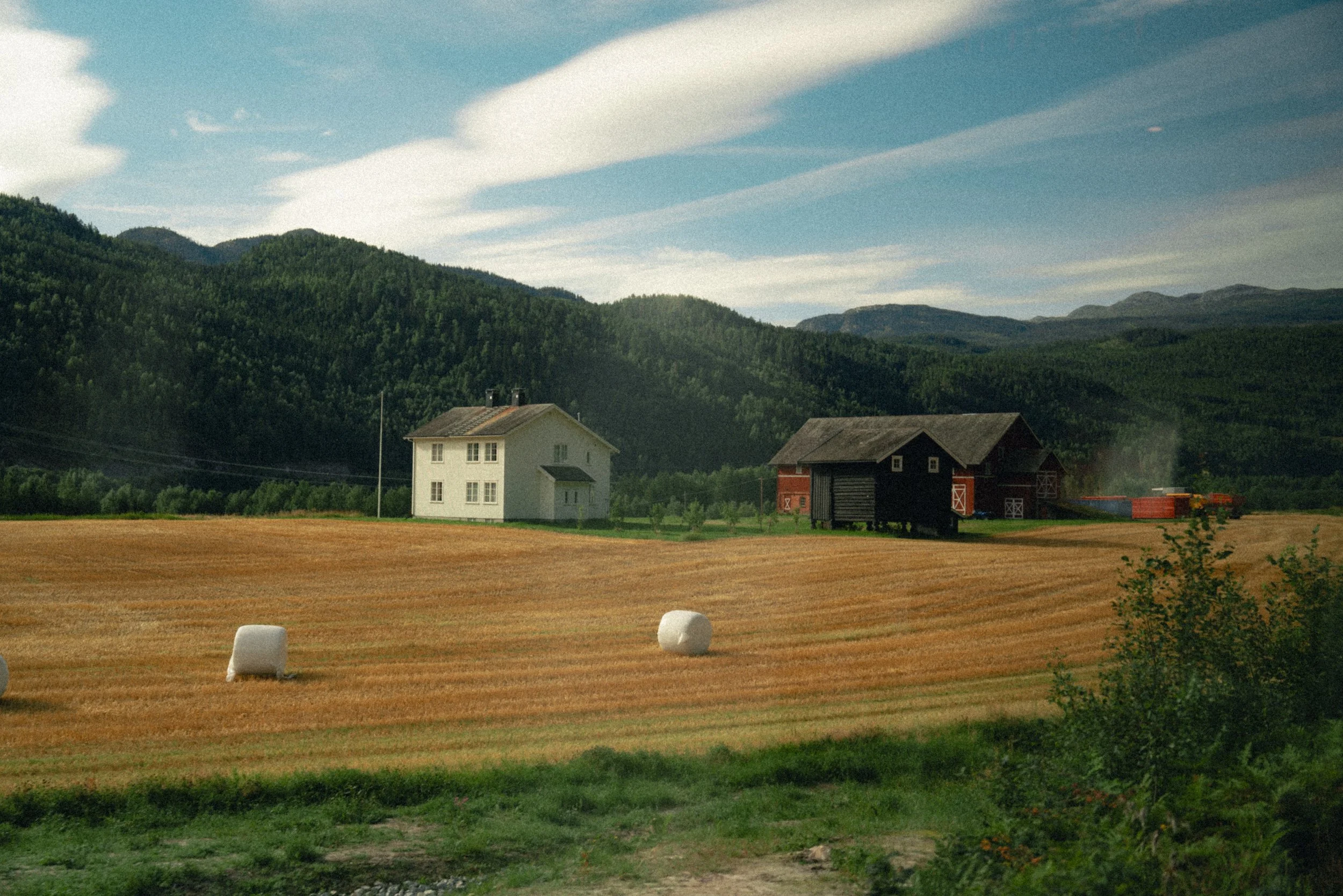 DSC02788-2.jpg