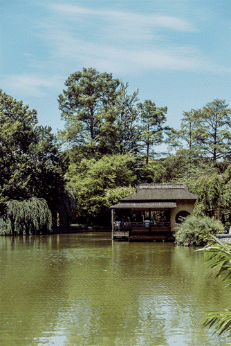 99f0eccbbcfb1c62-japanesegarden2-web.gif