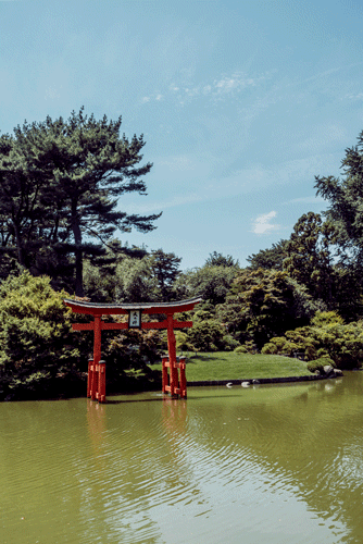 785f0cfe97eb3c10-japanesegarden3-web.gif