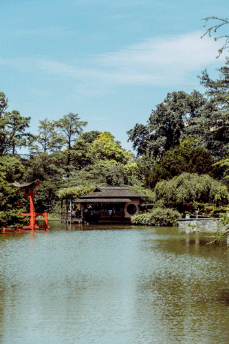 c00ae970b4f3b2e1-japanesegarden1.gif