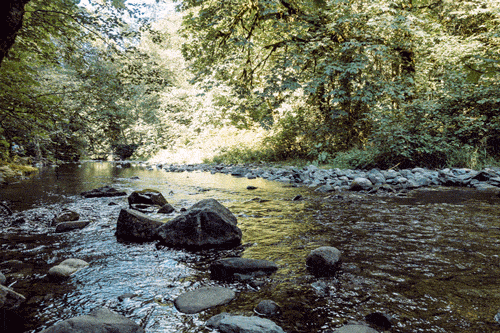 2e28cb43e908ceae-stream.gif