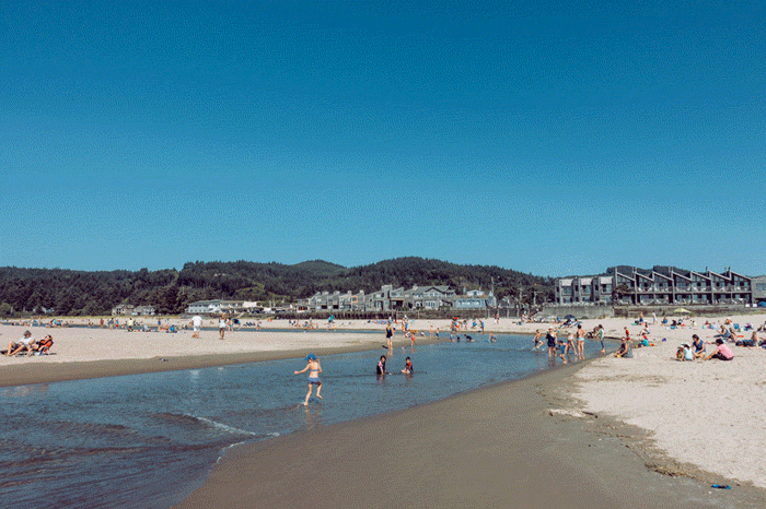 15e6ead7b9389b3a-cannon_beach.gif