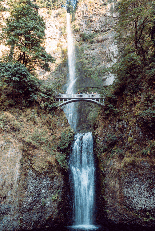 9b88a22cd1d158e4-mulnomahfalls2.gif
