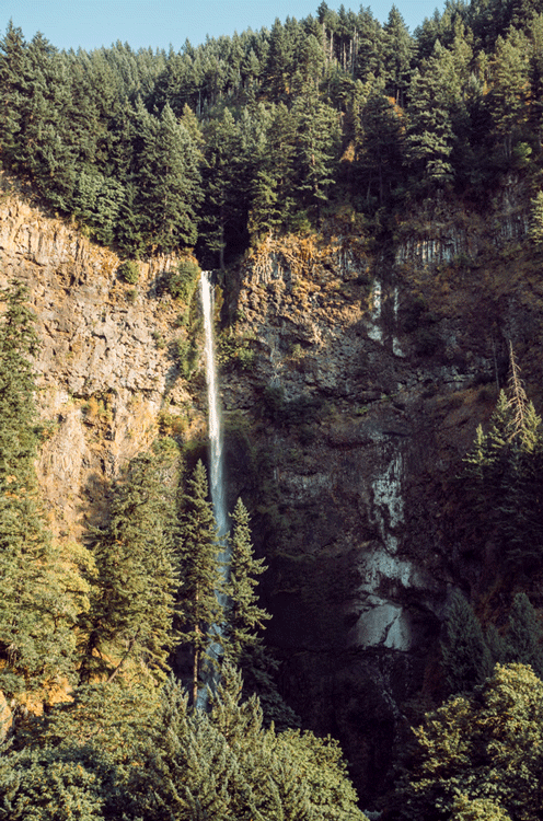 36d7816964e114e7-multnomahfalls1.gif