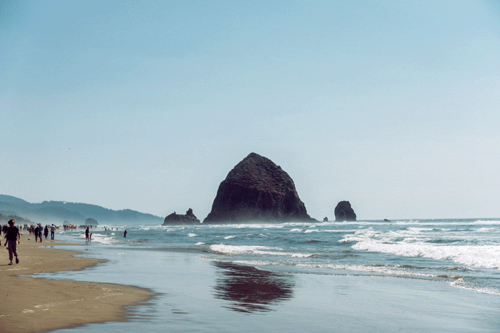 69a0d34e8d497719-haystack1.gif