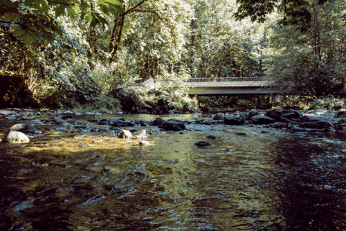 14f2d3cdc4f69653-stream_bridge.gif