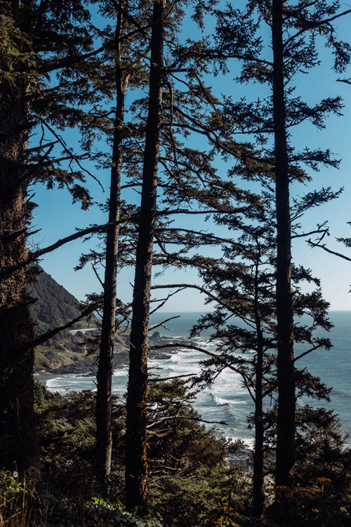 97dc99b3cf56c465-waves12-web.gif