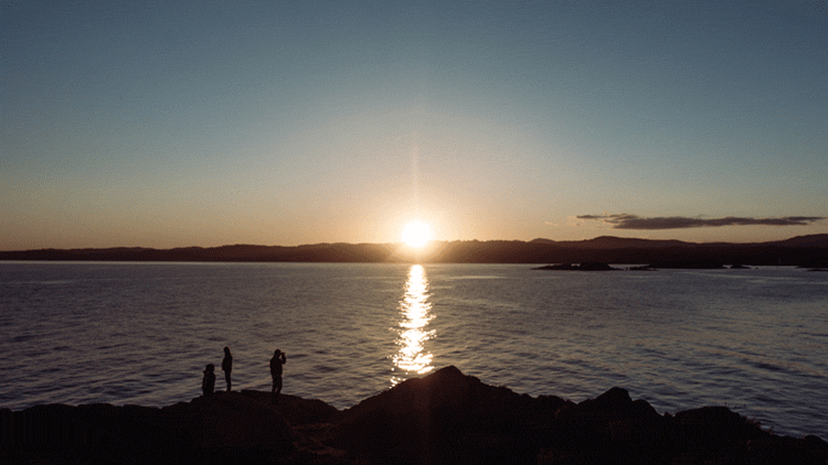97b289484569514f-sunset_victoria.gif