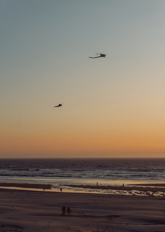 ad5563a0b63bff6a-kites-web.gif