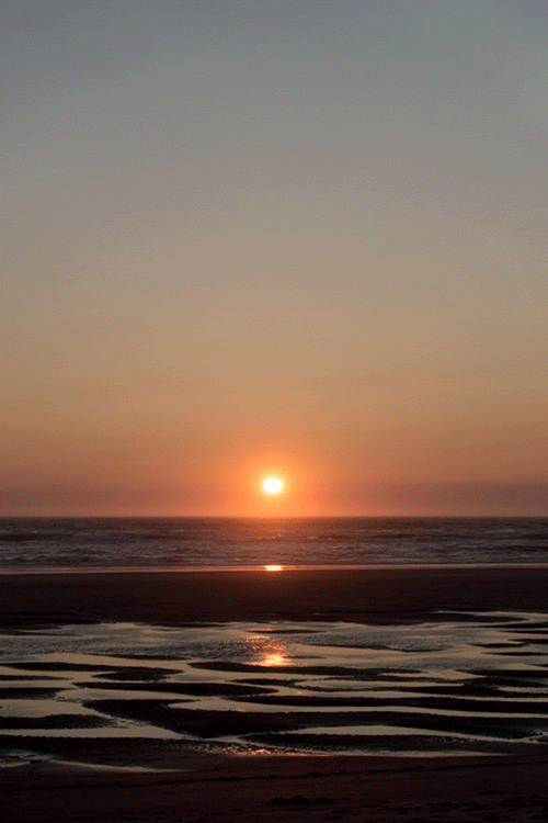e0d2bd38b7189b02-sunset1-web.gif