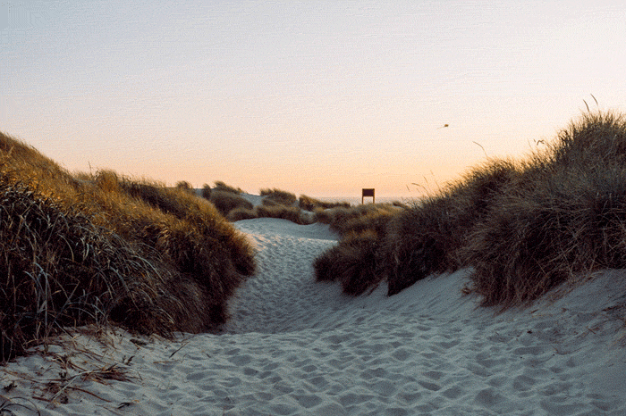 e4c4d8390bf81b08-beach_kite.gif