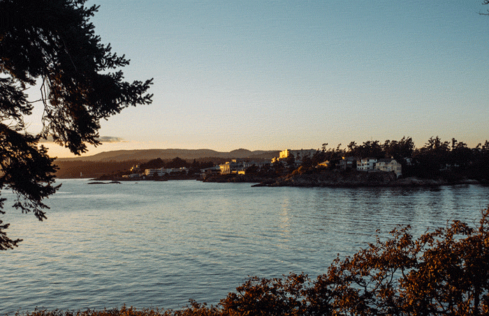 ff026c9f723ec772-bay_victoria.gif