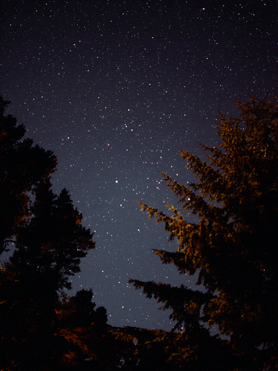 f42a5c1a0b255994-nikon1_1half.gif