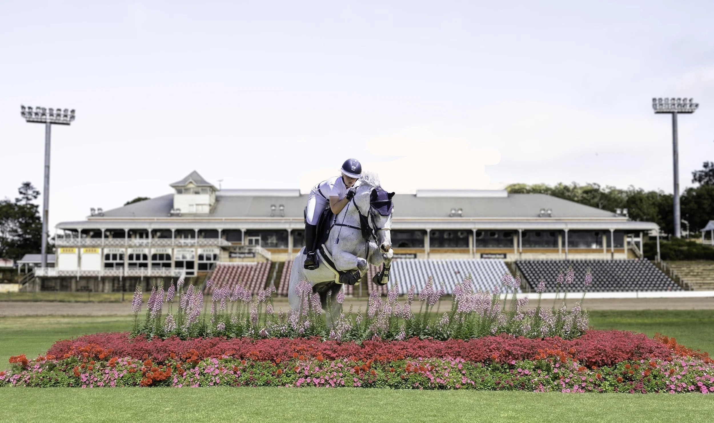 Toowoomba Equestrian Centre of Excellence Business Case and Facility