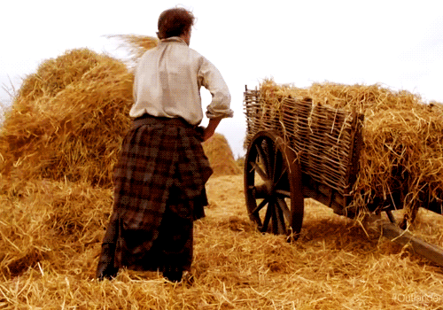 jamie.gif