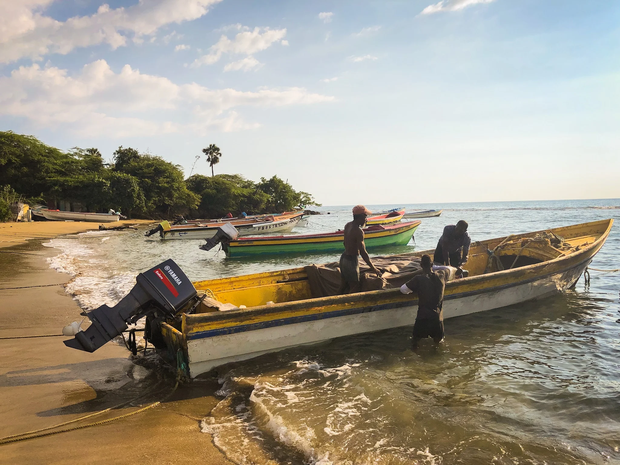 Daily Catch (Treasure Beach, Jamaica, 2018, © JOEL ANG PHOTOGRAPHY)