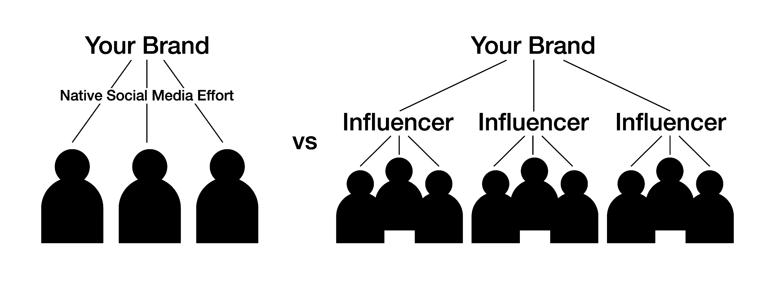 Website Graphic 1.jpg