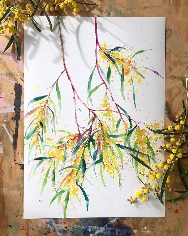 We have officially SOLD OUT of &lsquo;Roadside Wattle&rsquo; by Natalie Martin in A3 and have very limited A2&rsquo;s left available 🍃💛
.
Swipe left to see this beautiful piece insitu (along with &lsquo;Glyn&rsquo;s Gumnuts&rsquo;) courtesy of one 