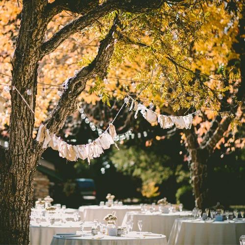 Sugar_Wedding-home-page-image.jpg