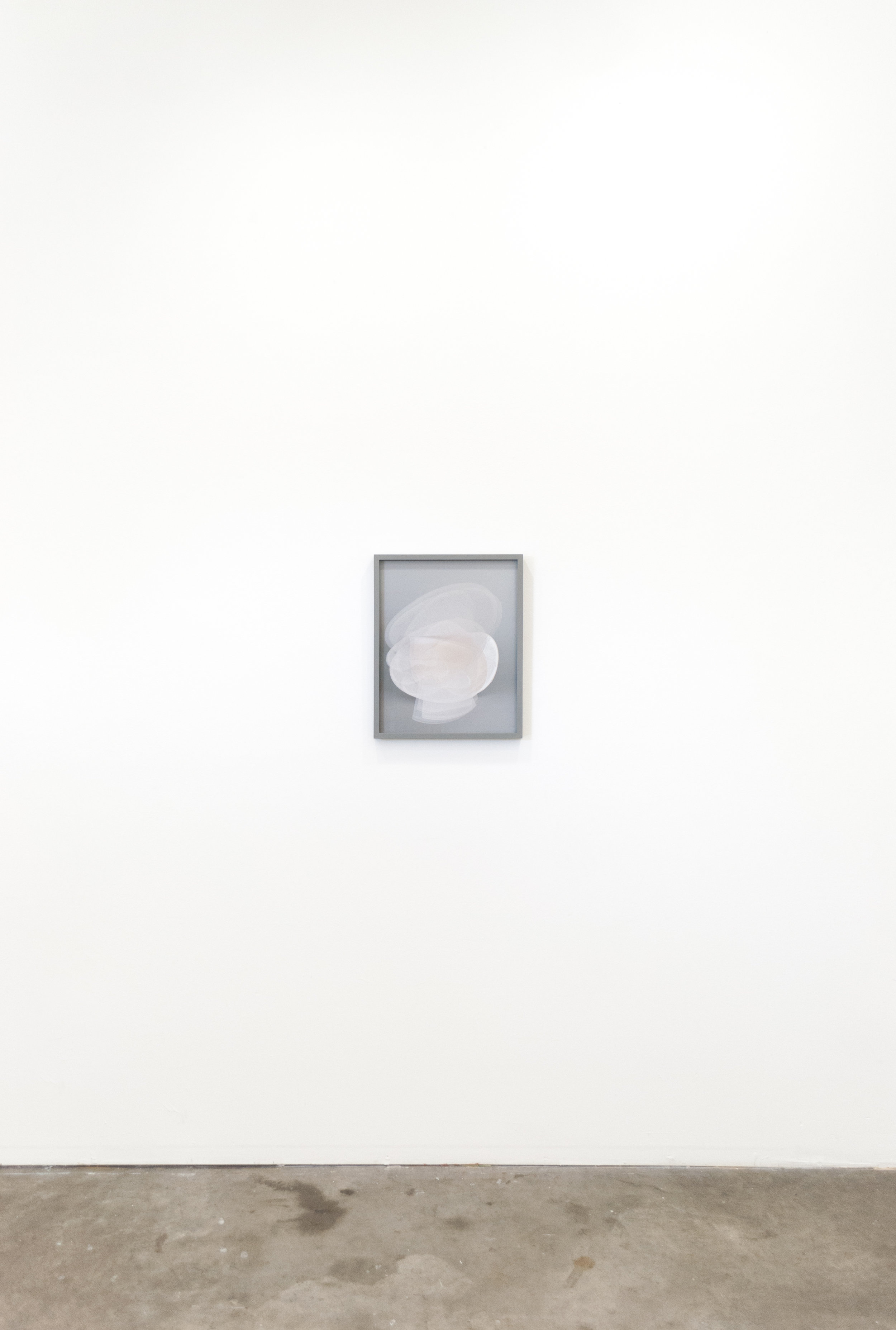 Melanie_Flood-Latent_Desire-Install-11.jpg