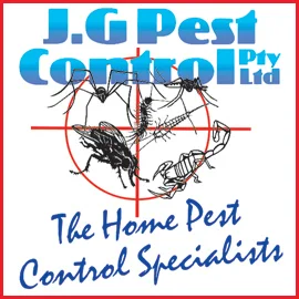 270_websquare_JG_Pest.jpg