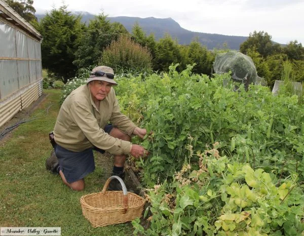 Ken-Philpott-self-sufficient-gardner.jpg