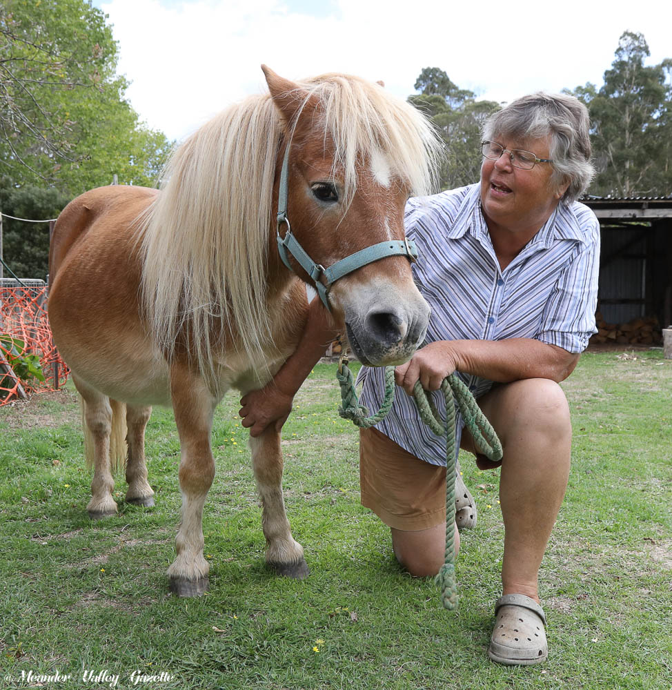 Pat-Hodgetts.jpg
