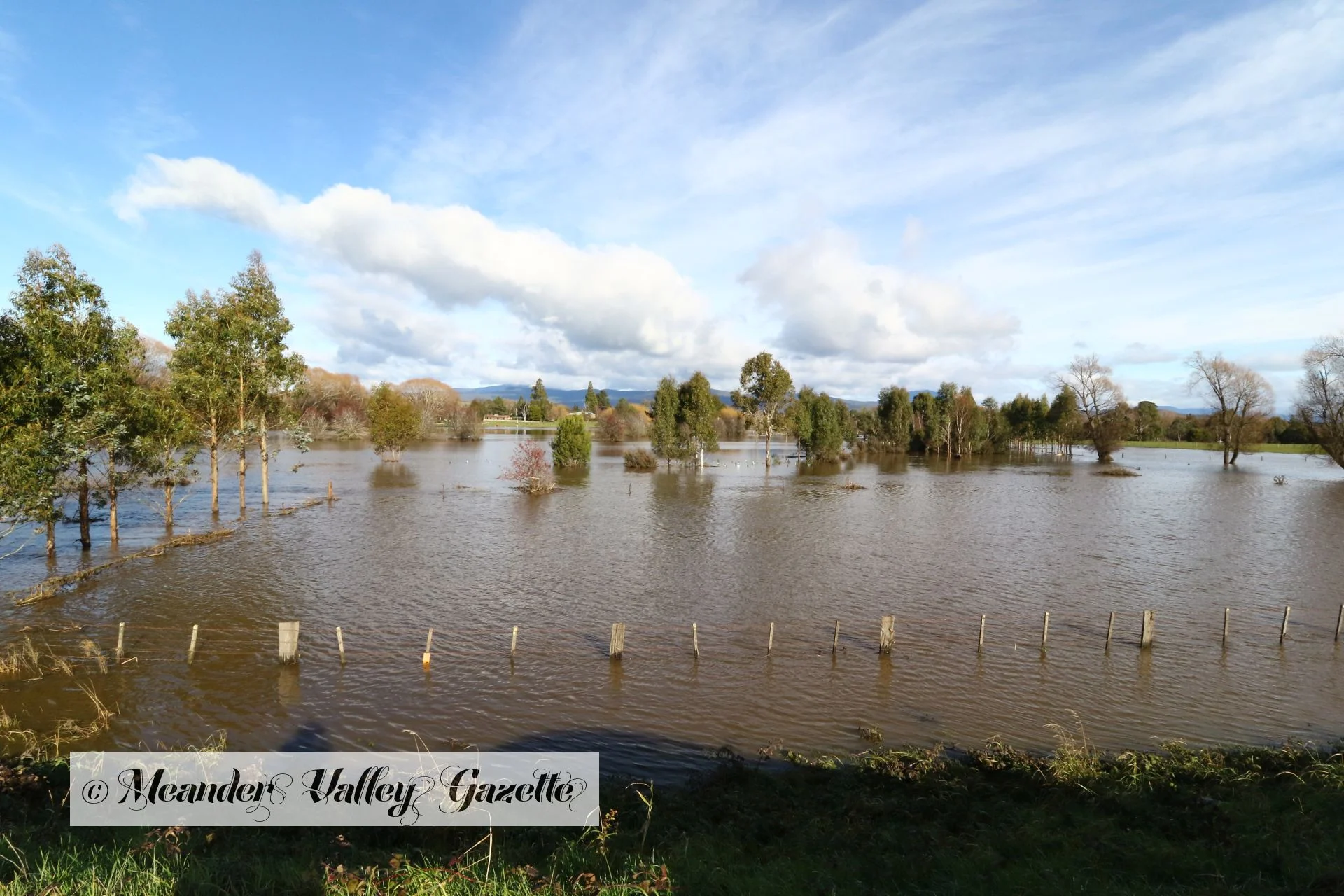 Westbury Common, pictured here in flood, provides a unique habitat for local wildlife. Photo | Mike Moores