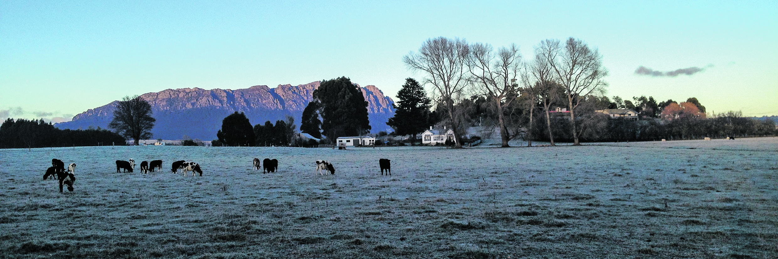 Photo by Joanne Gower A frosty morning in Sheffield, with Mt Roland in the background.