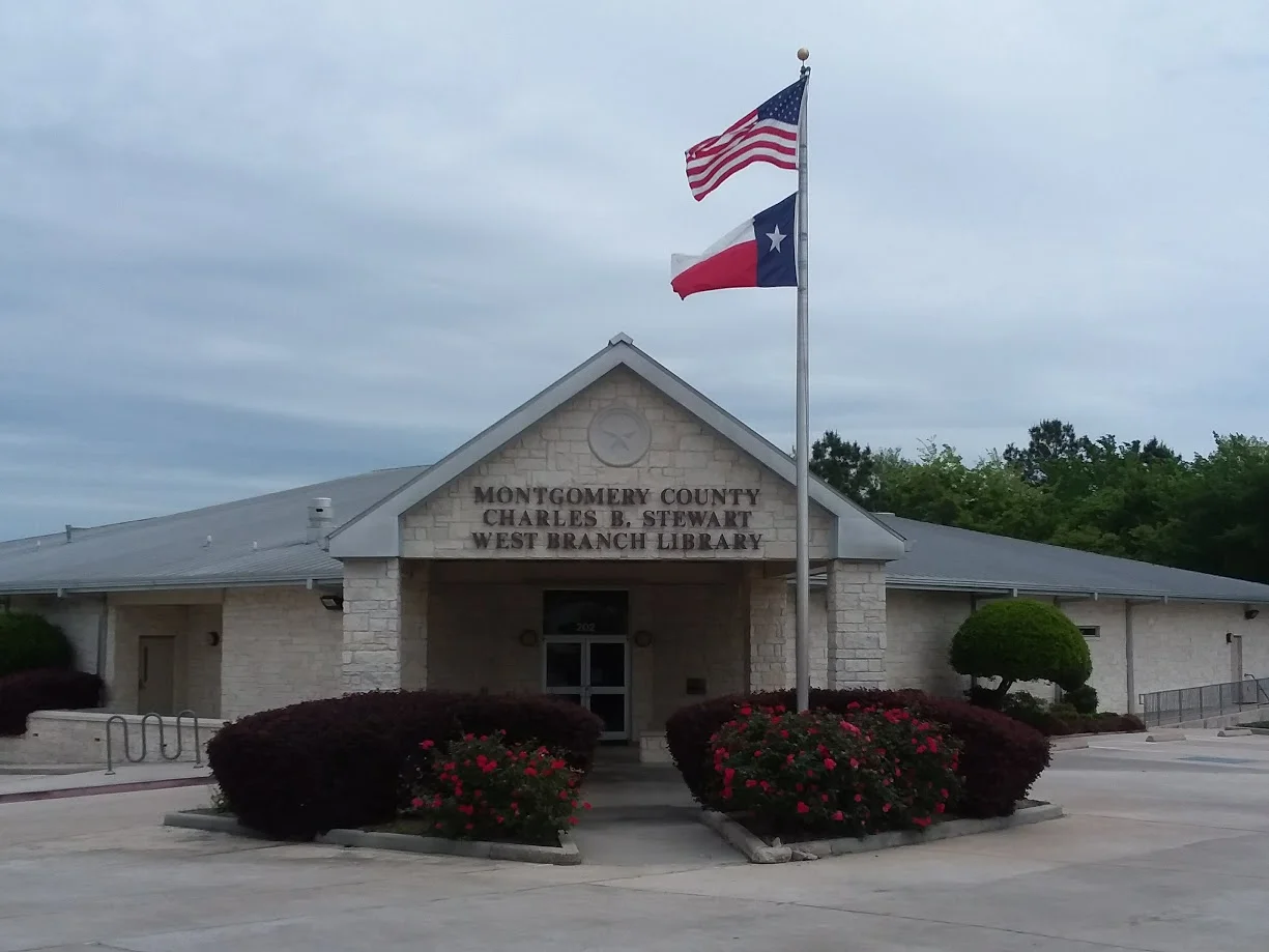 Image of the library