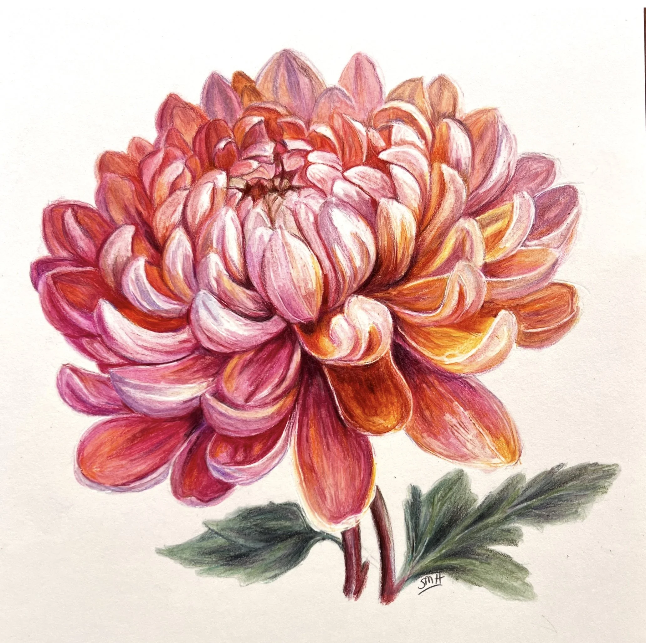 Dahlia Print