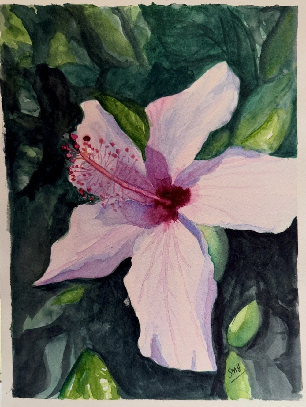 Hibiscus Flower Print
