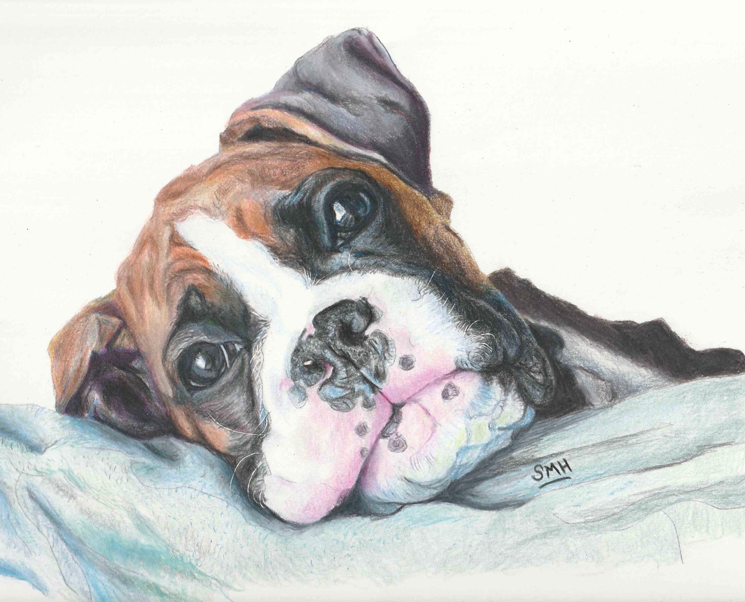 Laszlo, Colored Pencils