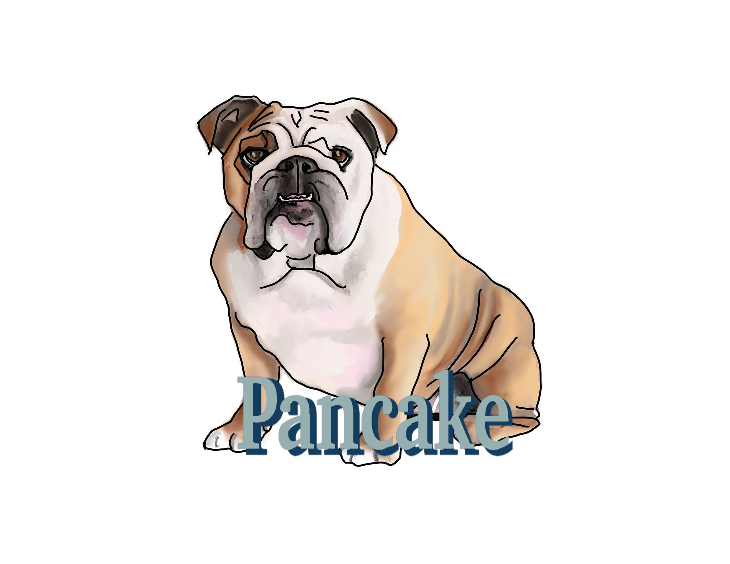 english bulldog jackets