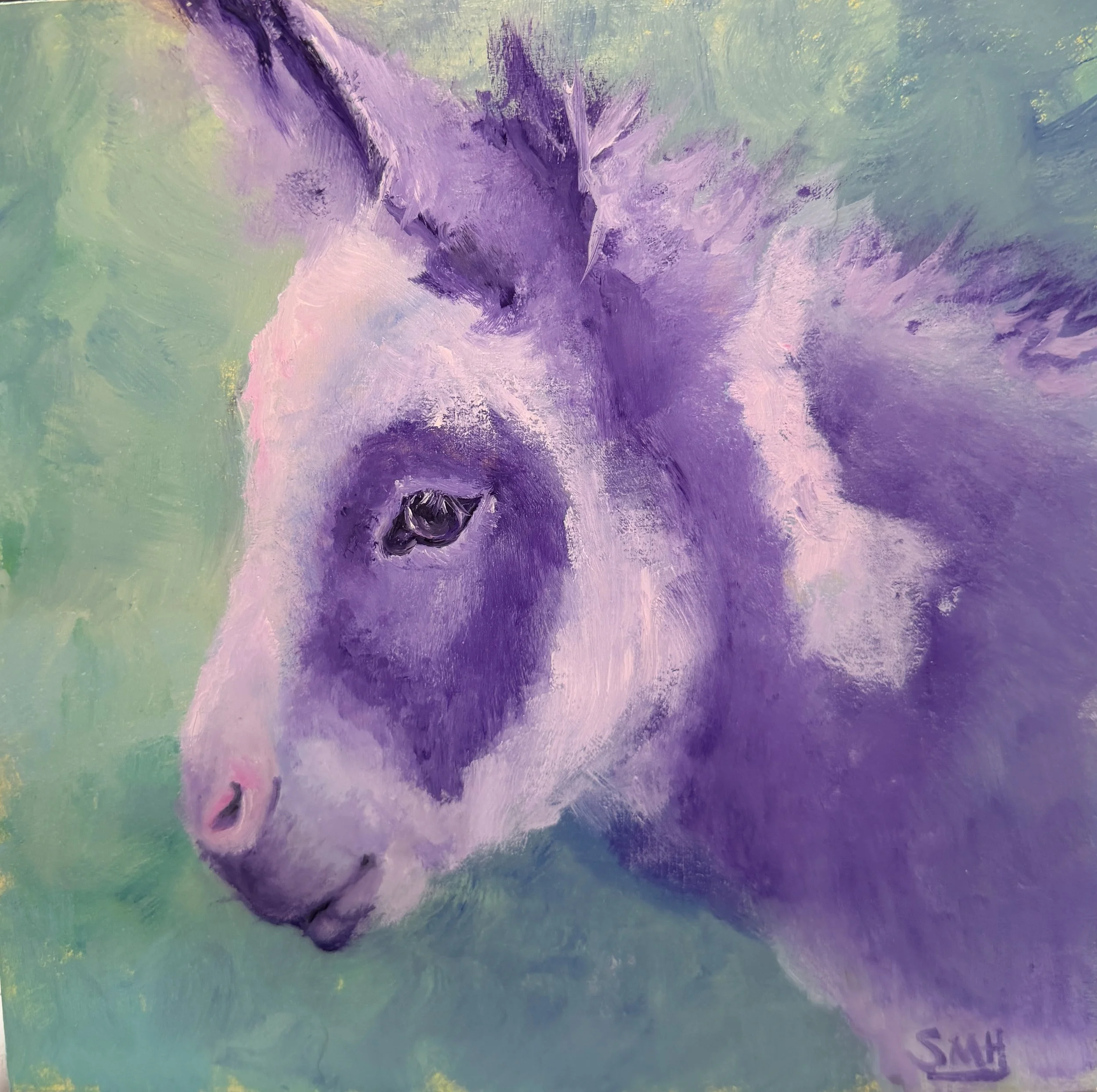 Burro
