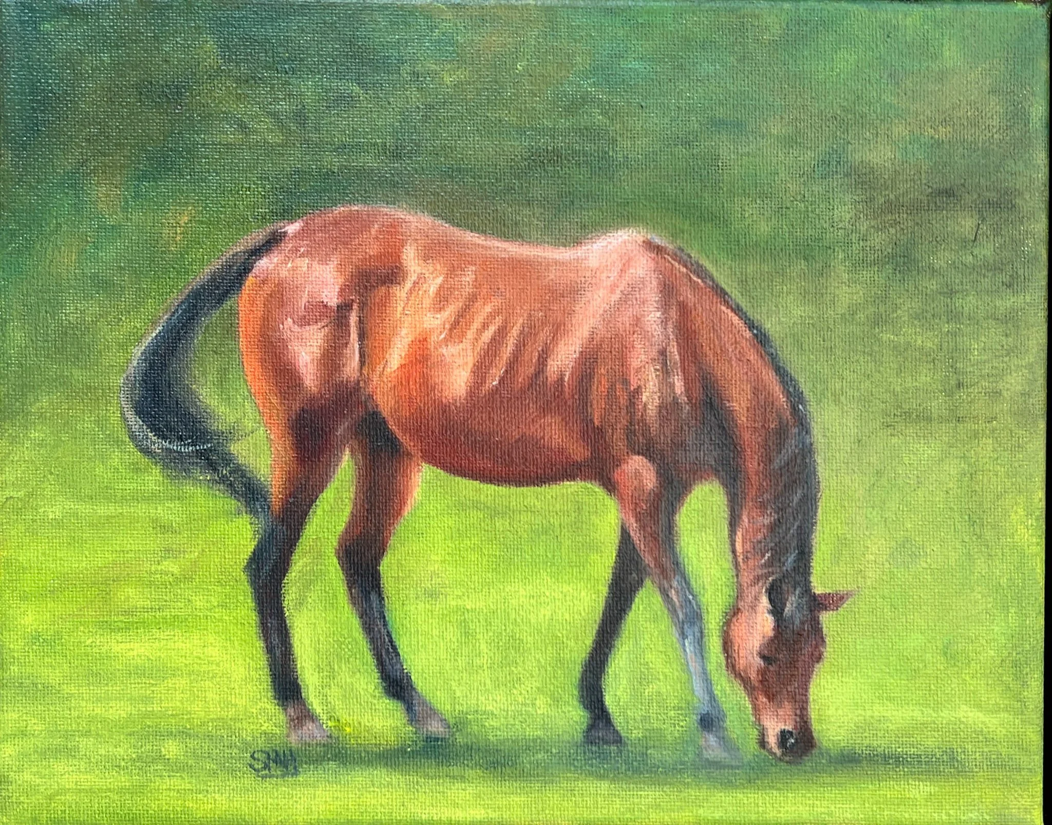North Arabian Mare