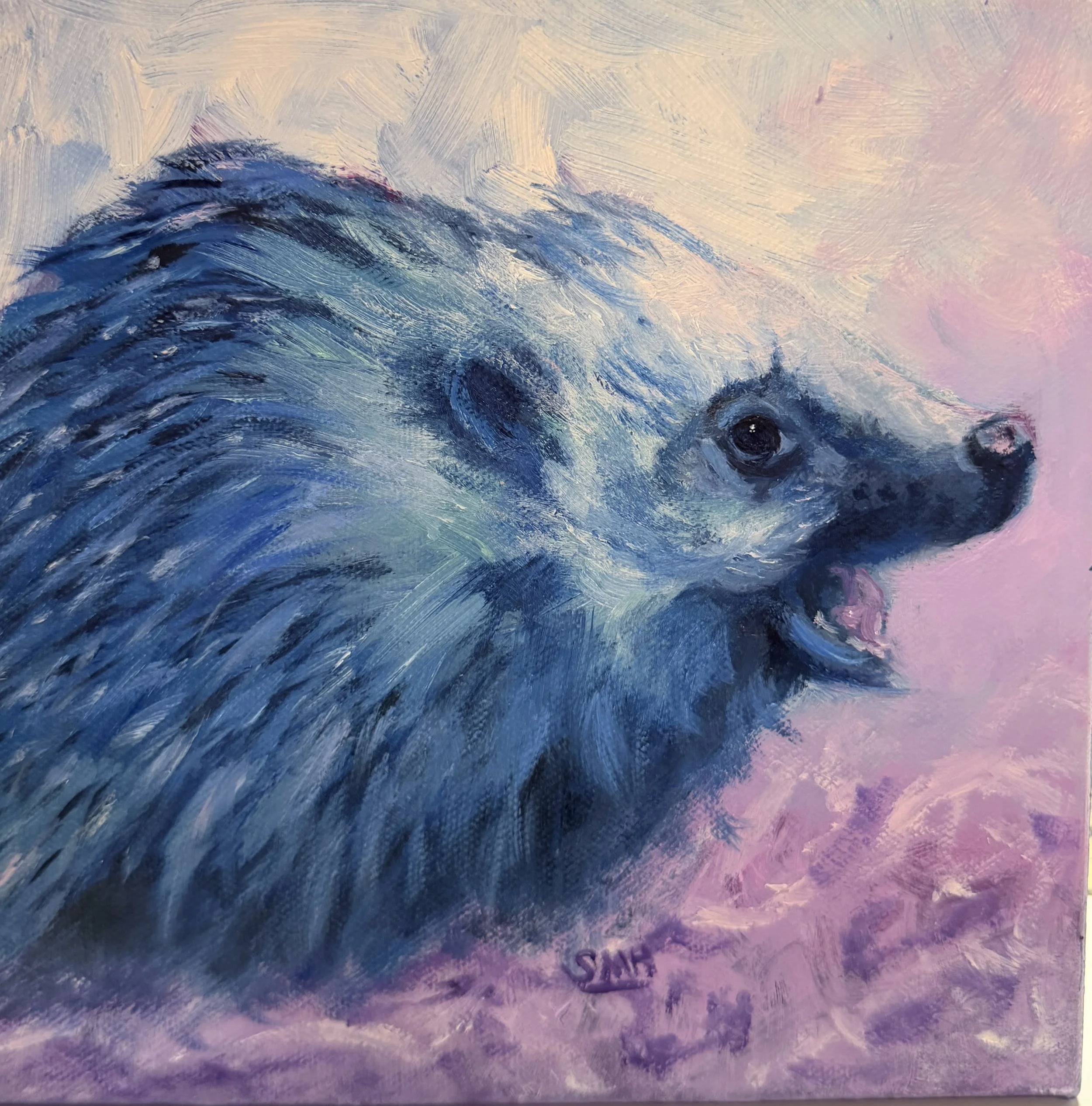 Hedgehog
