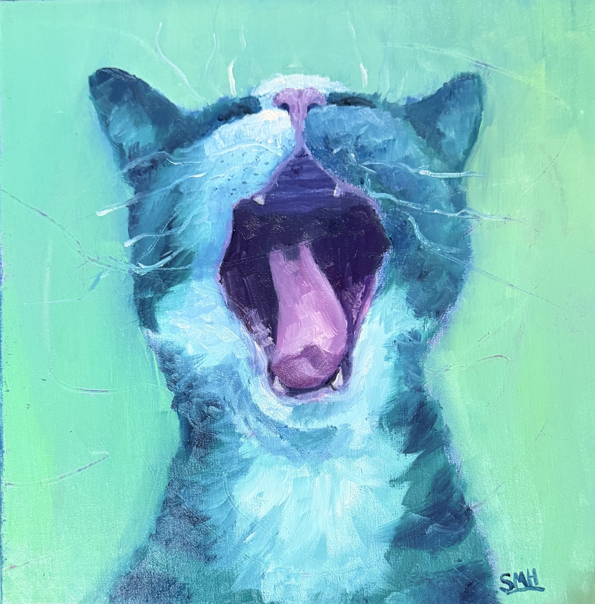 Kitty Yawn