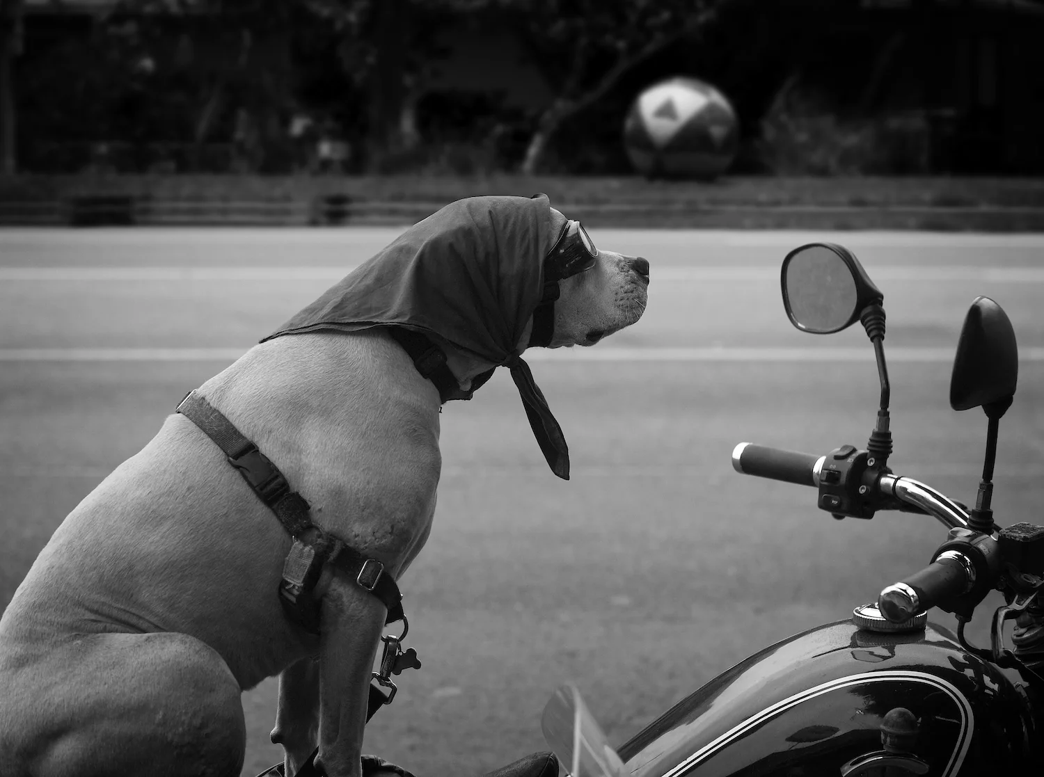 Ride Ready.jpg