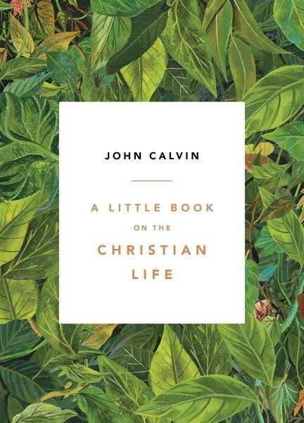 A Little Book on the Christian Life cover