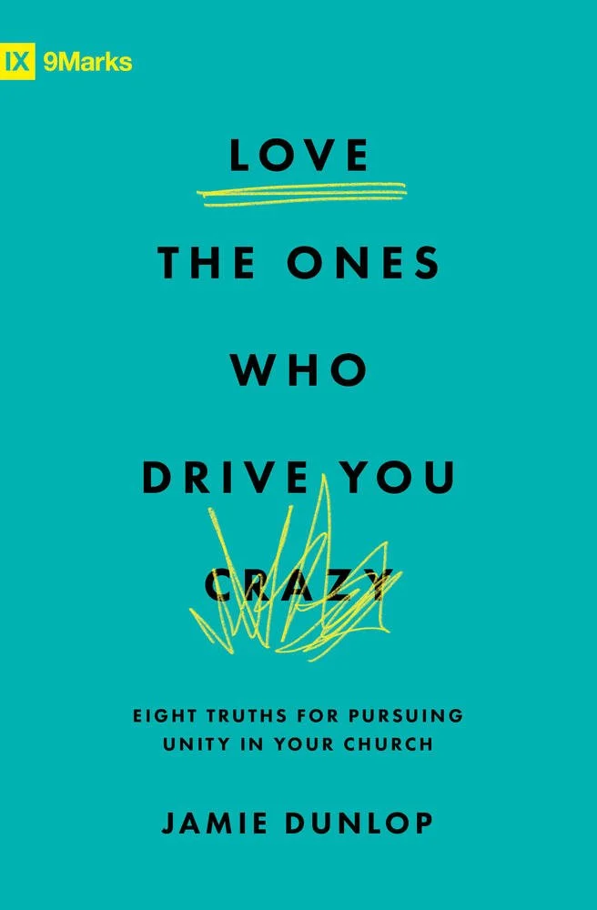 Love the Ones Who Drive You Crazy cover