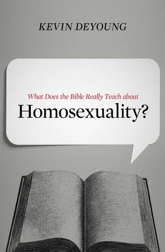 What Does the Bible Really Teach about Homosexuality? cover