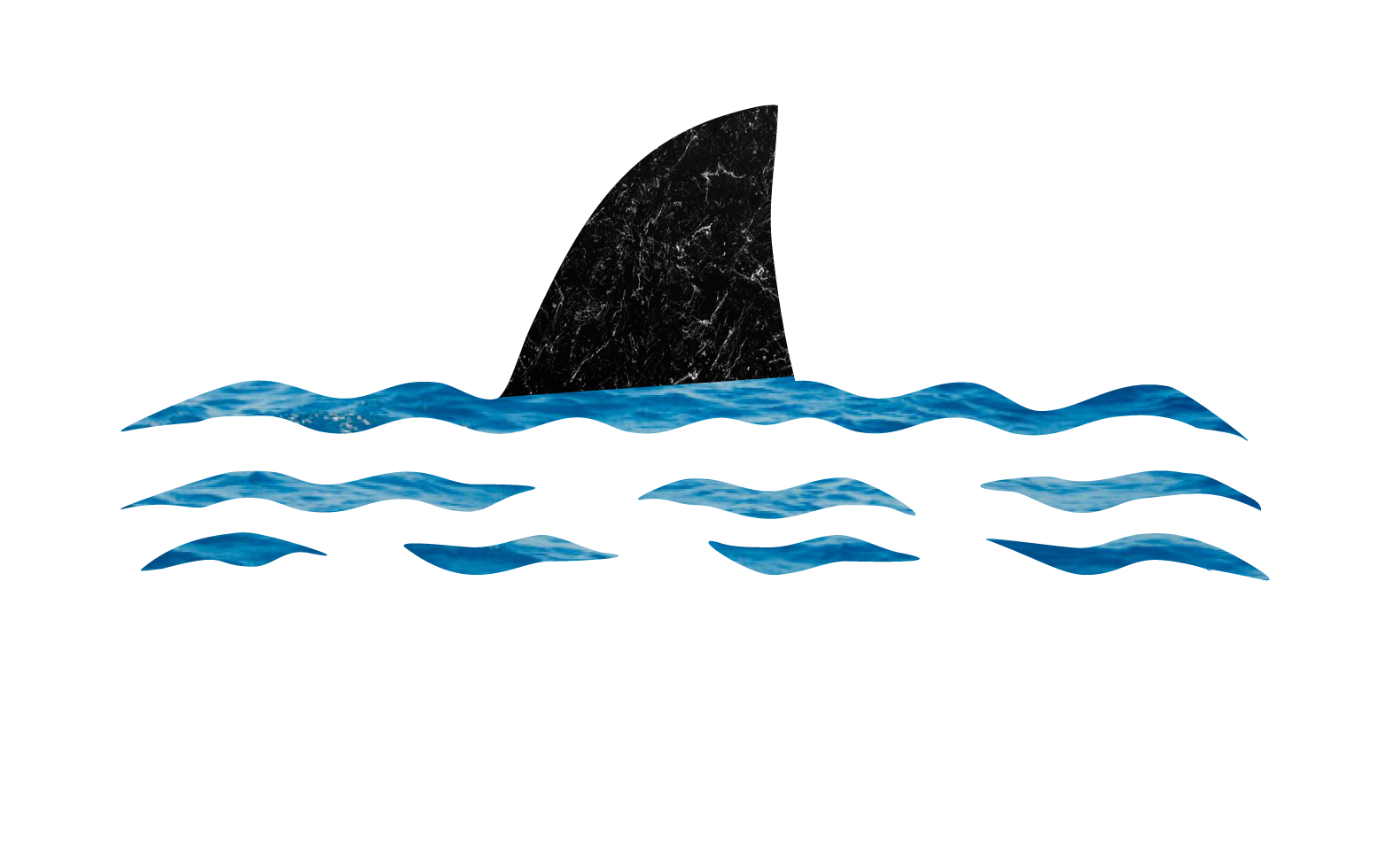 shark.png