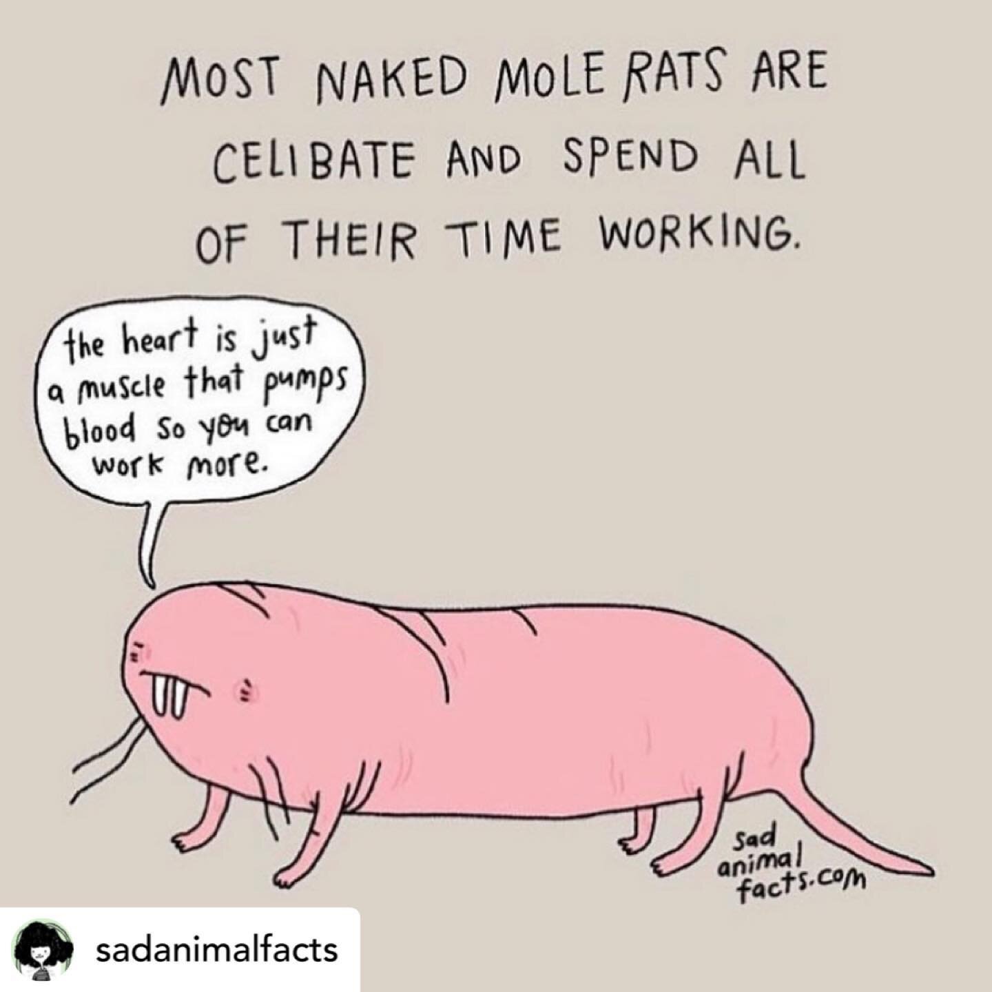 Are we all turning into mole rats?