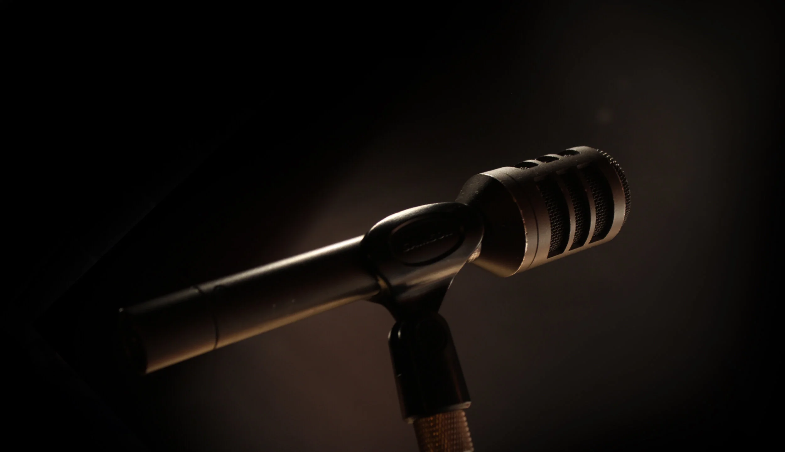 Brittany_Nunez_Mic_Banner_002.jpg